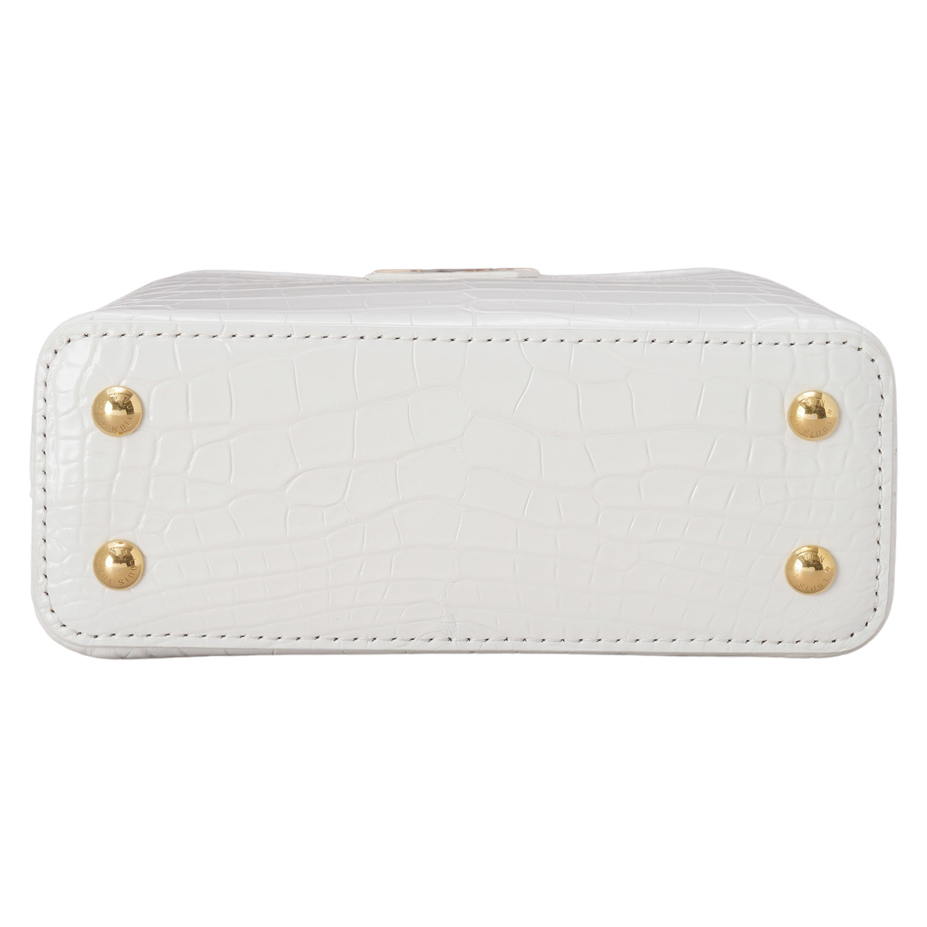 LOUIS VUITTON(USED)루이비통 이그조틱 와니 카퓌신 미니